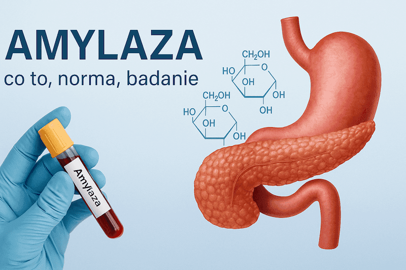 Amylaza: co to, norma, badanie