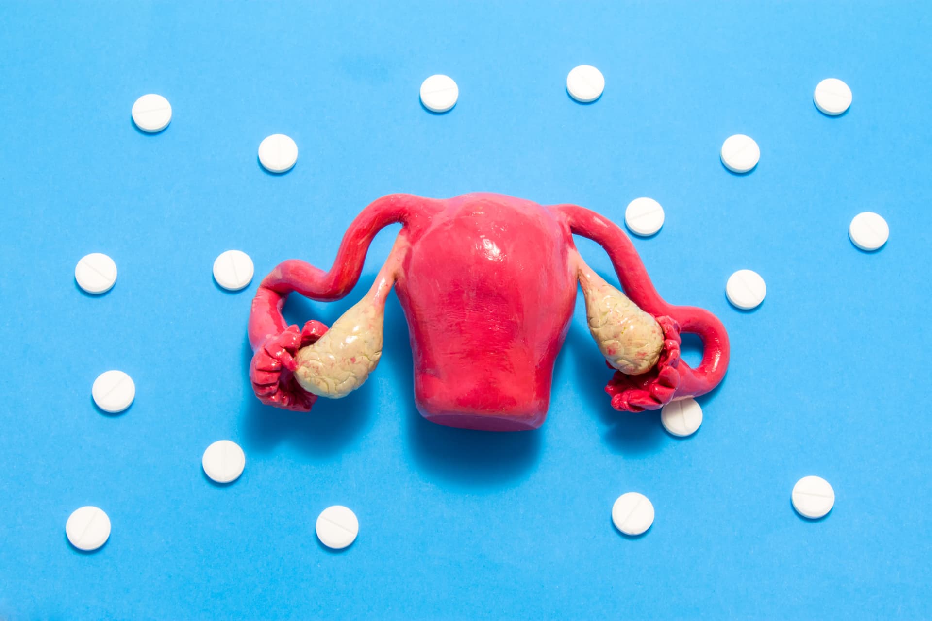 Endometrium: czym jest? Funkcje, prawidłowa grubość i choroby